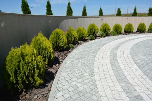 Best Professional Driveway Pavers  in Dadeville, AL
